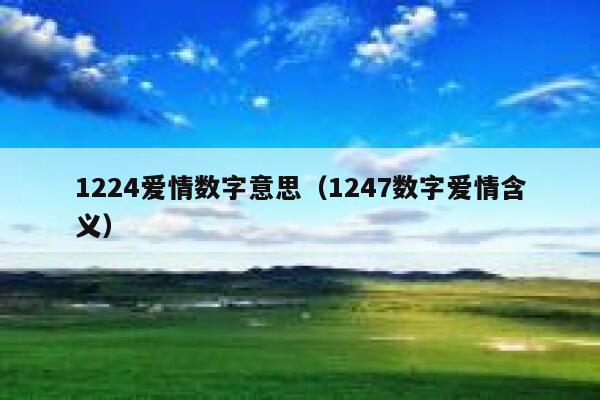 1224爱情数字意思（1247数字爱情含义） 第1张