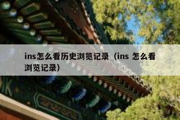 ins怎么看历史浏览记录（ins 怎么看浏览记录） 第1张