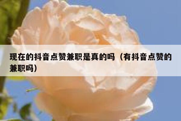 现在的抖音点赞兼职是真的吗（有抖音点赞的兼职吗） 第1张