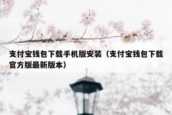 支付宝钱包下载手机版安装（支付宝钱包下载官方版最新版本） 第1张