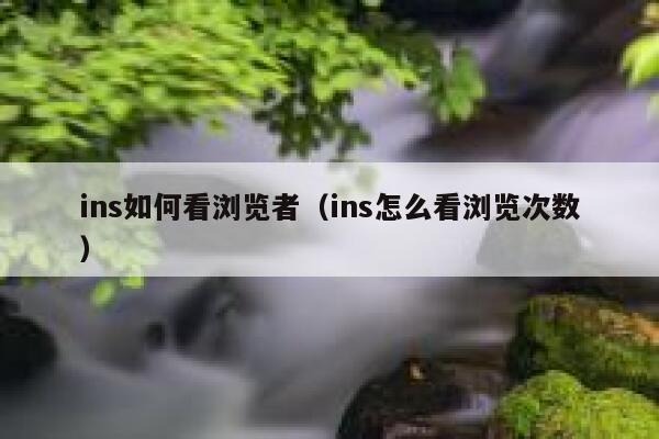 ins如何看浏览者（ins怎么看浏览次数） 第1张