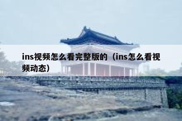ins视频怎么看完整版的（ins怎么看视频动态） 第1张