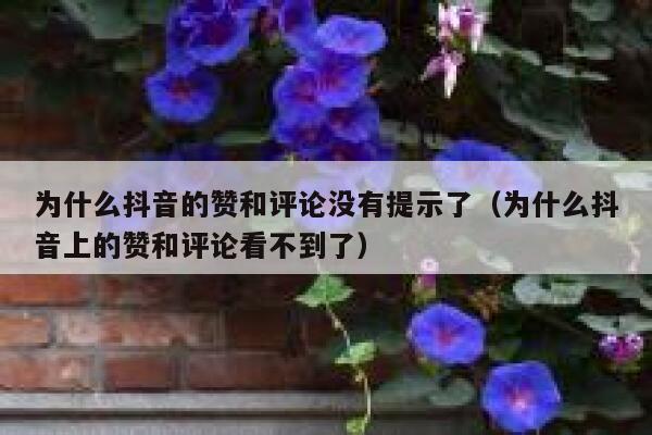 为什么抖音的赞和评论没有提示了（为什么抖音上的赞和评论看不到了） 第1张