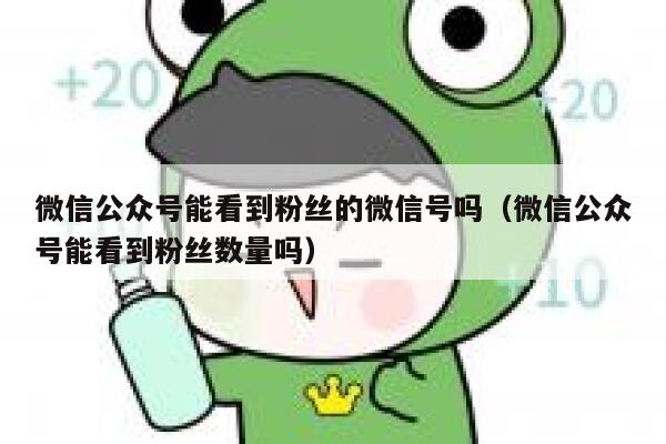 微信公众号能看到粉丝的微信号吗（微信公众号能看到粉丝数量吗） 第1张
