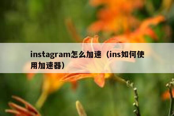 instagram怎么加速（ins如何使用加速器） 第1张
