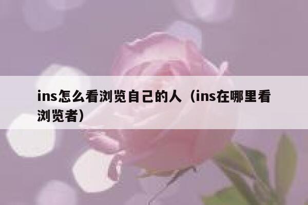 ins怎么看浏览自己的人（ins在哪里看浏览者） 第1张
