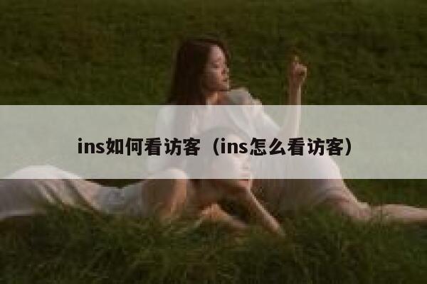 ins如何看访客（ins怎么看访客） 第1张