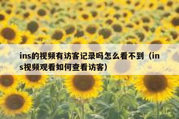 ins的视频有访客记录吗怎么看不到（ins视频观看如何查看访客） 第1张