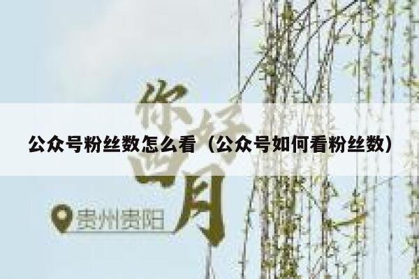 公众号粉丝数怎么看（公众号如何看粉丝数） 第1张