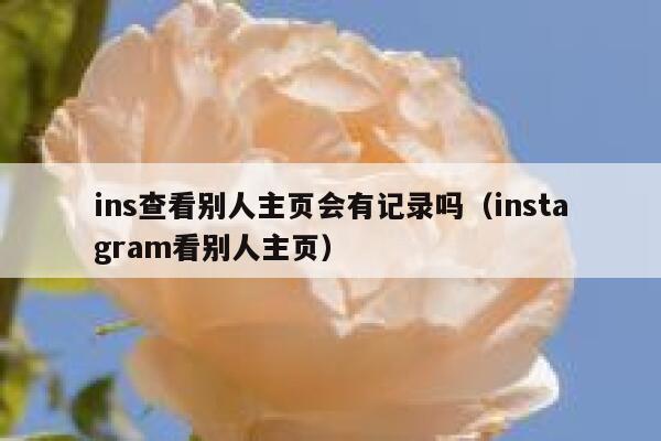 ins查看别人主页会有记录吗（instagram看别人主页） 第1张