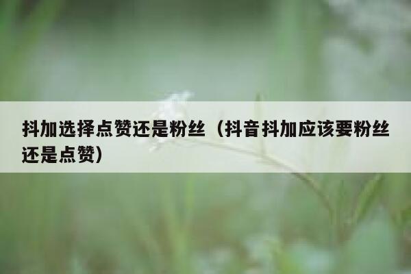 抖加选择点赞还是粉丝（抖音抖加应该要粉丝还是点赞） 第1张