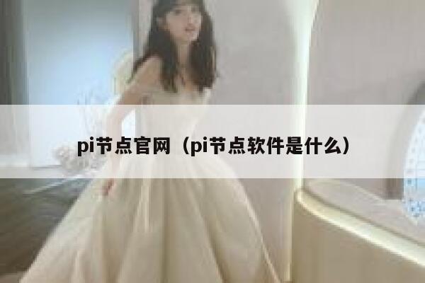 pi节点官网（pi节点软件是什么） 第1张