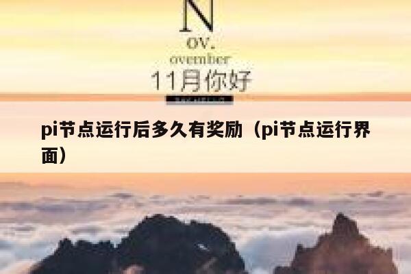 pi节点运行后多久有奖励（pi节点运行界面） 第1张