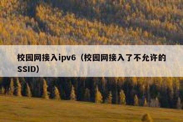 校园网接入ipv6（校园网接入了不允许的SSID） 第1张