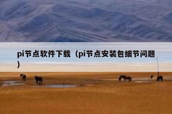 pi节点软件下载（pi节点安装包细节问题） 第1张