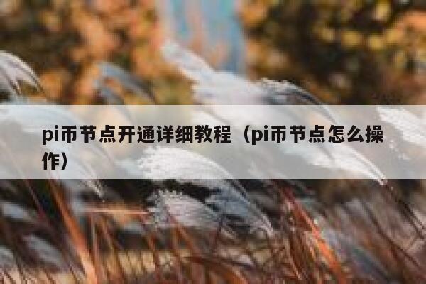 pi币节点开通详细教程(pi币节点怎么操作) 第1张 pi币节点开通详细教程(pi币节点怎么操作) 第1张