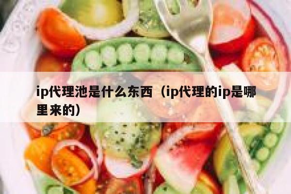 ip代理池是什么东西(ip代理的ip是哪里来的) 第1张 ip代理池是什么东西(ip代理的ip是哪里来的) 第1张
