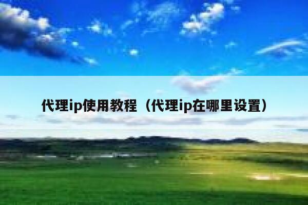 代理ip使用教程（代理ip在哪里设置） 第1张