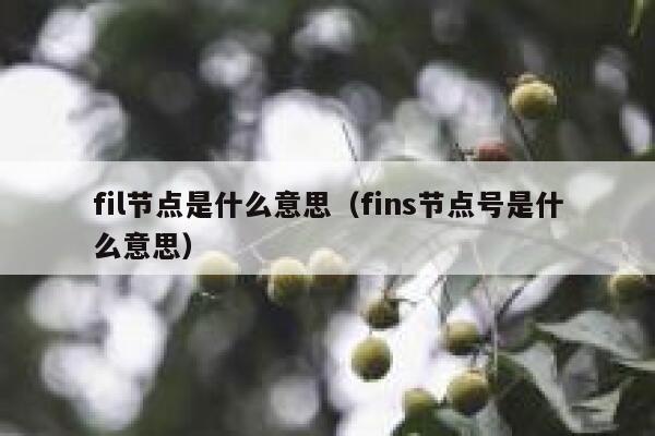 fil节点是什么意思(fins节点号是什么意思) 第1张 fil节点是什么意思(fins节点号是什么意思) 第1张