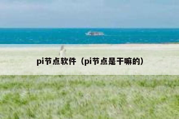 pi节点软件(pi节点是干嘛的) 第1张 pi节点软件(pi节点是干嘛的) 第1张
