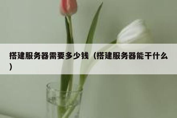 搭建服务器需要多少钱(搭建服务器能干什么) 第1张 搭建服务器需要多少钱(搭建服务器能干什么) 第1张