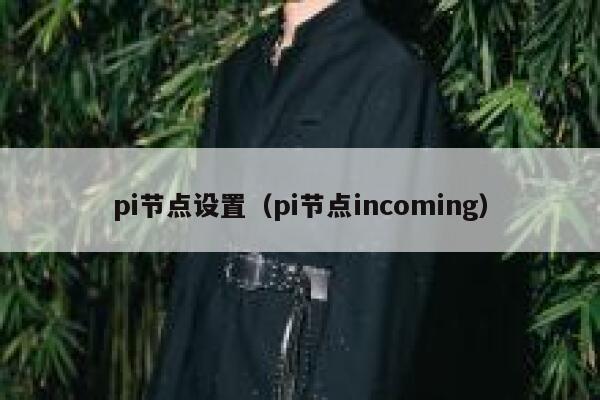 pi节点设置(pi节点incoming) 第1张 pi节点设置(pi节点incoming) 第1张