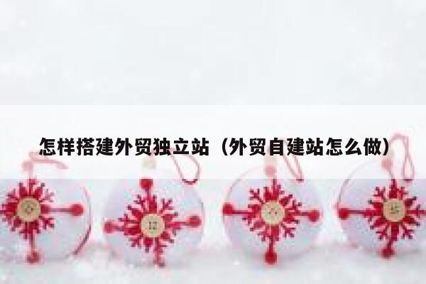 怎样搭建外贸独立站（外贸自建站怎么做） 第1张