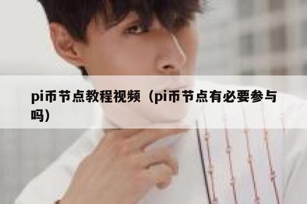 pi币节点教程视频(pi币节点有必要参与吗) 第1张 pi币节点教程视频(pi币节点有必要参与吗) 第1张