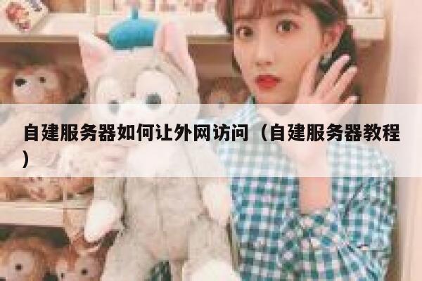 自建服务器如何让外网访问（自建服务器教程） 第1张