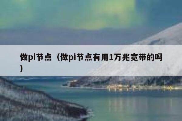 做pi节点（做pi节点有用1万兆宽带的吗） 第1张