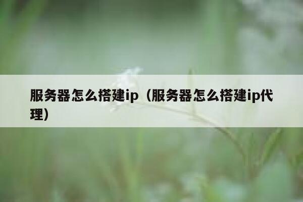 服务器怎么搭建ip(服务器怎么搭建ip代理) 第1张 服务器怎么搭建ip(服务器怎么搭建ip代理) 第1张