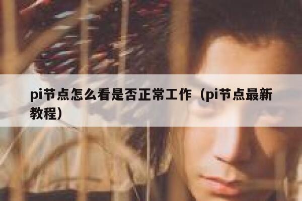 pi节点怎么看是否正常工作(pi节点最新教程) 第1张 pi节点怎么看是否正常工作(pi节点最新教程) 第1张