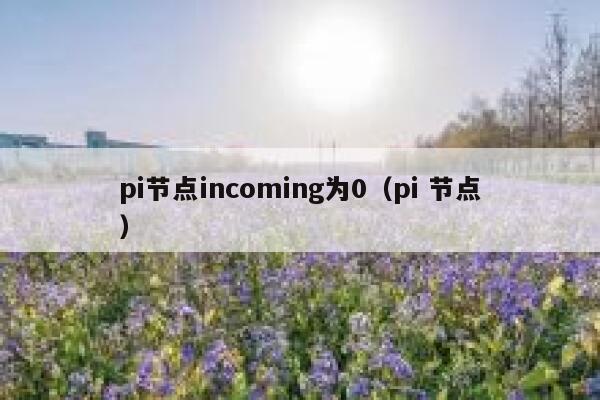 pi节点incoming为0(pi 节点) 第1张 pi节点incoming为0(pi 节点) 第1张