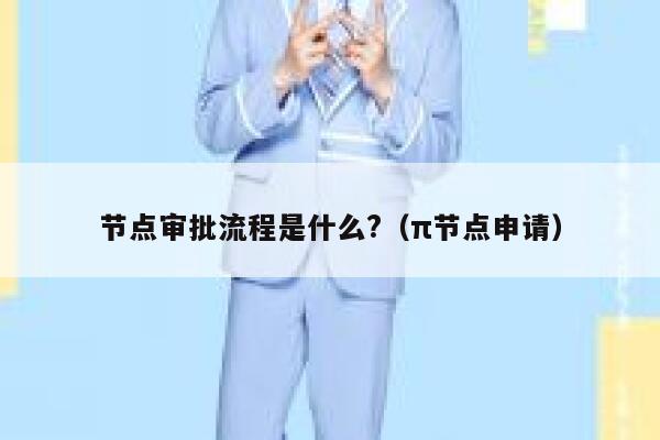 节点审批流程是什么?（π节点申请） 第1张