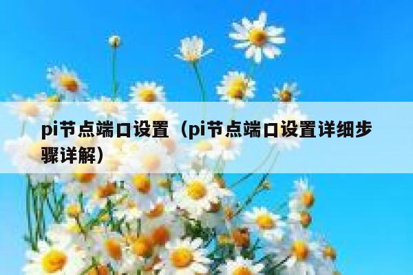 pi节点端口设置(pi节点端口设置详细步骤详解) 第1张 pi节点端口设置(pi节点端口设置详细步骤详解) 第1张