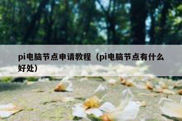 pi电脑节点申请教程(pi电脑节点有什么好处) 第1张 pi电脑节点申请教程(pi电脑节点有什么好处) 第1张