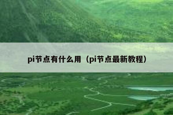 pi节点有什么用(pi节点最新教程) 第1张 pi节点有什么用(pi节点最新教程) 第1张