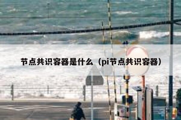 节点共识容器是什么(pi节点共识容器) 第1张 节点共识容器是什么(pi节点共识容器) 第1张