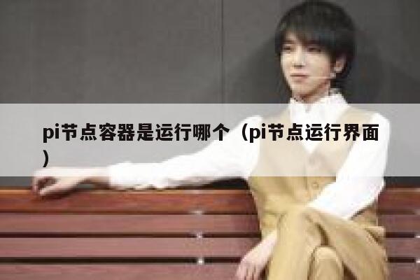 pi节点容器是运行哪个(pi节点运行界面) 第1张 pi节点容器是运行哪个(pi节点运行界面) 第1张