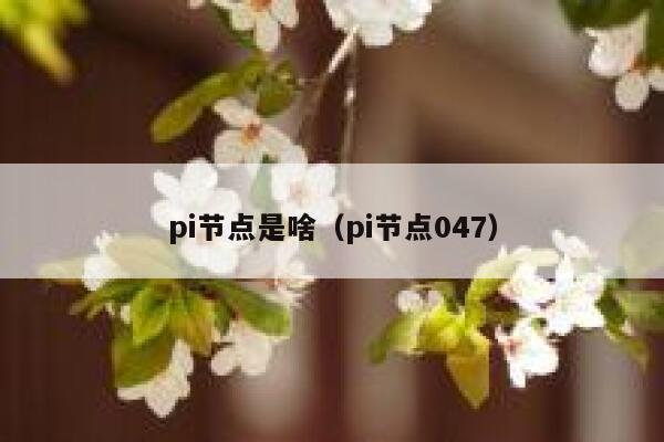 pi节点是啥(pi节点047) 第1张 pi节点是啥(pi节点047) 第1张