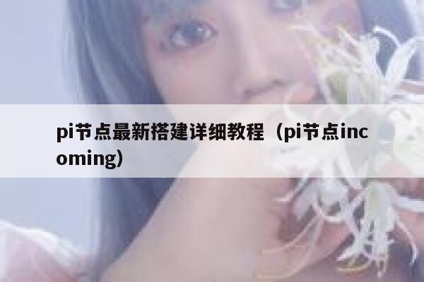 pi节点最新搭建详细教程(pi节点incoming) 第1张 pi节点最新搭建详细教程(pi节点incoming) 第1张