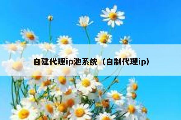 自建代理ip池系统（自制代理ip） 第1张