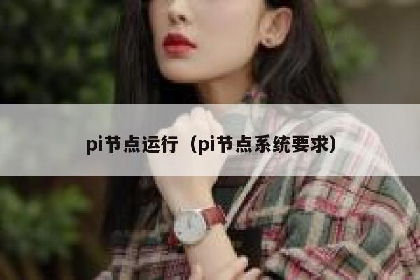 pi节点运行（pi节点系统要求） 第1张