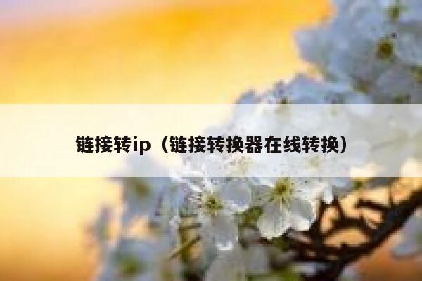 链接转ip（链接转换器在线转换） 第1张