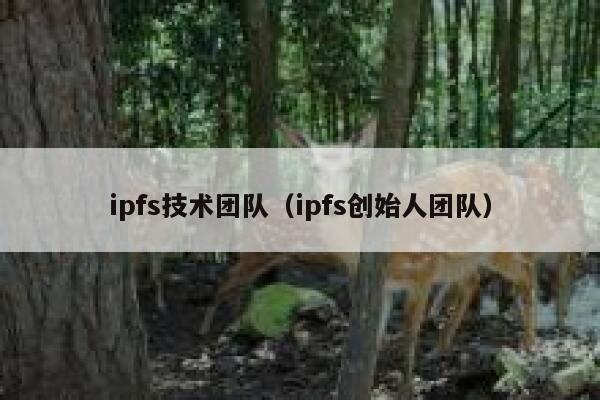 ipfs技术团队(ipfs创始人团队) 第1张 ipfs技术团队(ipfs创始人团队) 第1张
