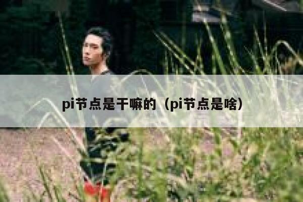 pi节点是干嘛的（pi节点是啥） 第1张