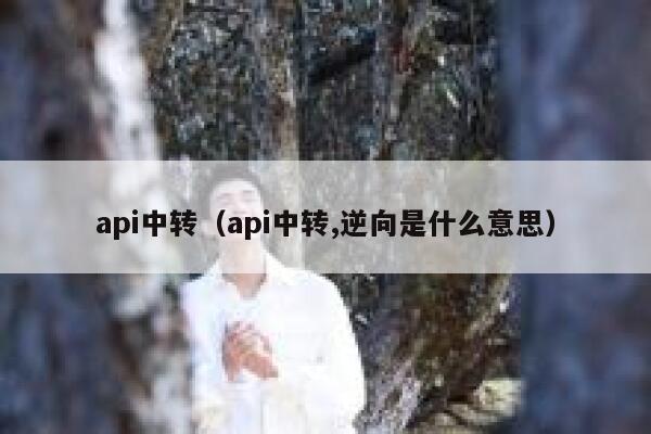 api中转(api中转,逆向是什么意思) 第1张 api中转(api中转,逆向是什么意思) 第1张