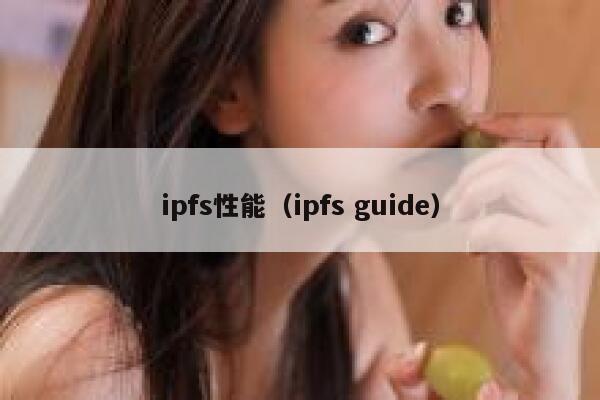 ipfs性能(ipfs guide) 第1张 ipfs性能(ipfs guide) 第1张