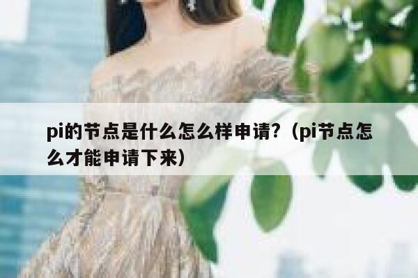 pi的节点是什么怎么样申请?(pi节点怎么才能申请下来) 第1张 pi的节点是什么怎么样申请?(pi节点怎么才能申请下来) 第1张