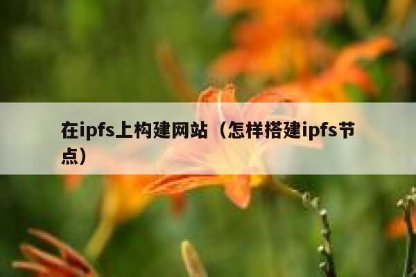 在ipfs上构建网站(怎样搭建ipfs节点) 第1张 在ipfs上构建网站(怎样搭建ipfs节点) 第1张